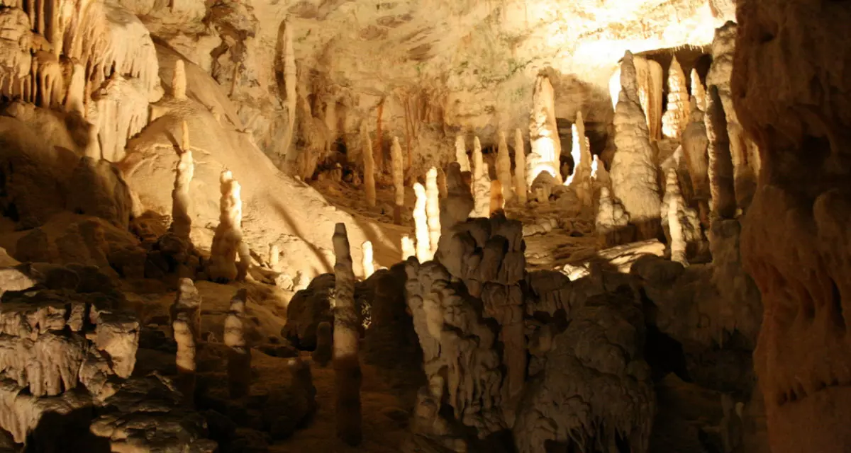 Grotte von Postojna | Sylfred1977 | Wikipedia | CC BY-SA 3.0