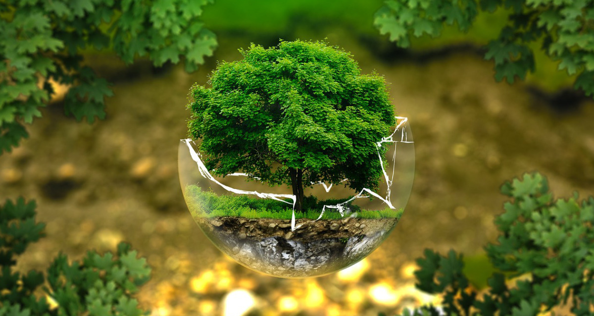 Symbolbild einer fragilen Umwelt. Foto: pixabay/AndreasAux